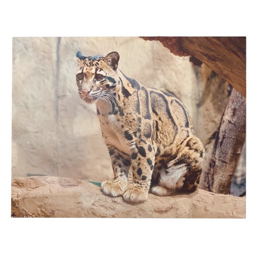 クラウドリープドの写真 自然 野生生物 エキゾチック ノートパッド (正面)