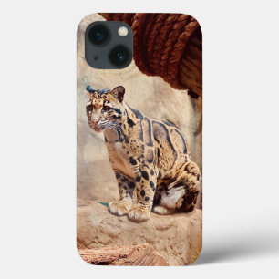クラウドリープドの写真 自然 野生生物 エキゾチック iPhone 13ケース