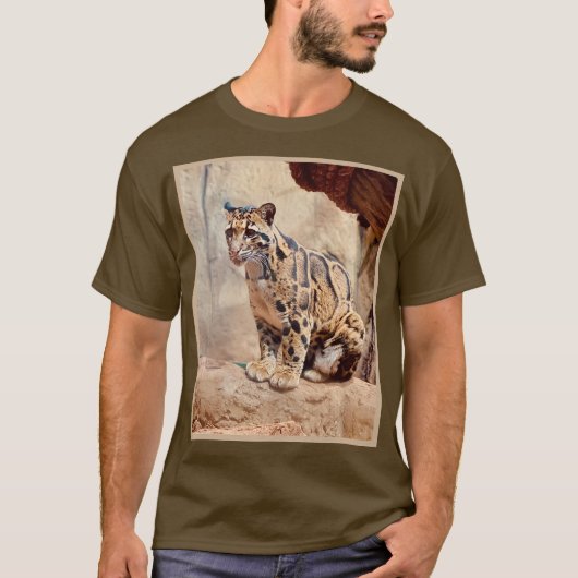クラウドリープドの写真 自然 Tシャツ (正面)