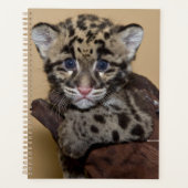 クラウドレオパードカブ プランナー手帳 (正面)