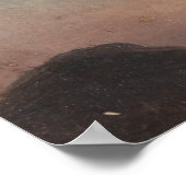 クラウド勉強（空の雲） (by Knud Baade) ポスター (角)