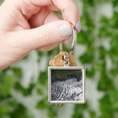 クラウド通りが表示される キーホルダー (手)