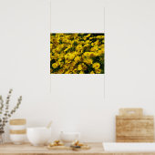 クラウンデイジー/キク宝冠 ポスター (キッチン)