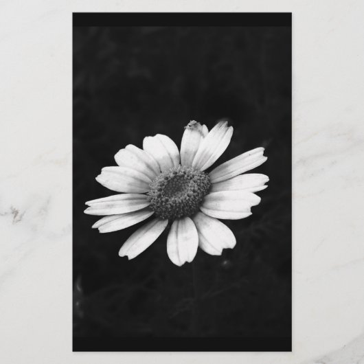 クラウンデイジー 便箋 (正面)