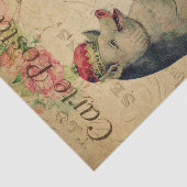 クラウンデカフランスのップ付きエフエマラポストカードピグ 薄葉紙 (詳細)