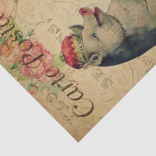 クラウンデカフランスのップ付きエフエマラポストカードピグ 薄葉紙 (詳細)