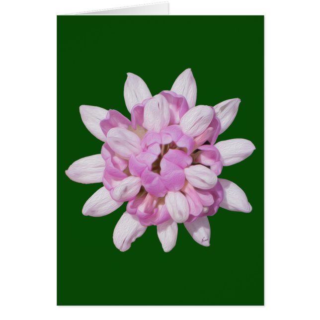 クラウンベッチ#1 (正面)