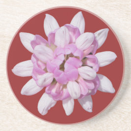 クラウンベッチ#1 コースター