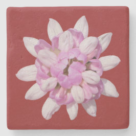 クラウンベッチ#1 ストーンコースター