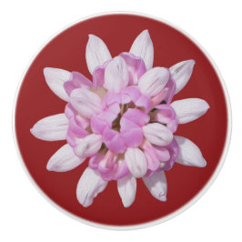 クラウンベッチ#1 セラミックノブ