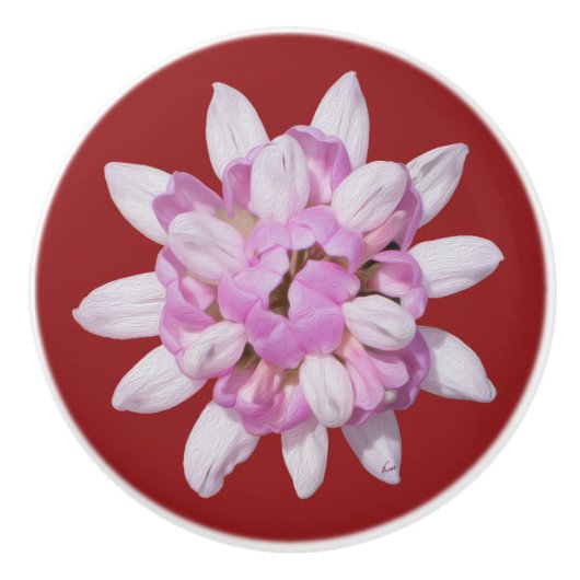 クラウンベッチ#1 セラミックノブ (正面)