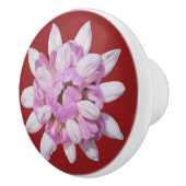 クラウンベッチ#1 セラミックノブ (右)