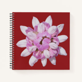 クラウンベッチ#1 ノートブック