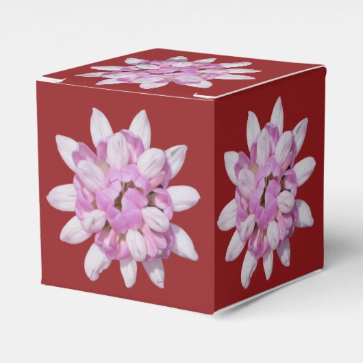 クラウンベッチ#1 フェイバーボックス (正面サイド)