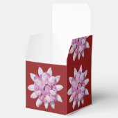 クラウンベッチ#1 フェイバーボックス (オープン)