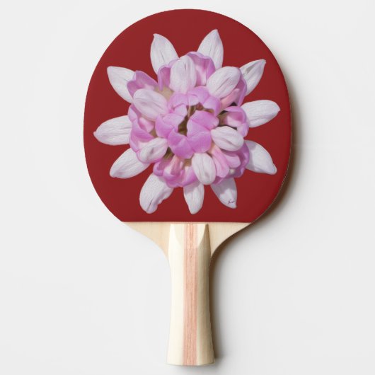 クラウンベッチ#1 卓球ラケット (裏面)