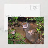 クラウン付きキツネザル対乳児 ポストカード (正面/裏面)