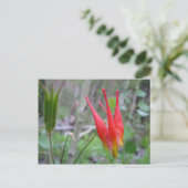 クラウン ポストカード (スタンド正面)