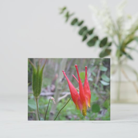 クラウン ポストカード (スタンド正面)