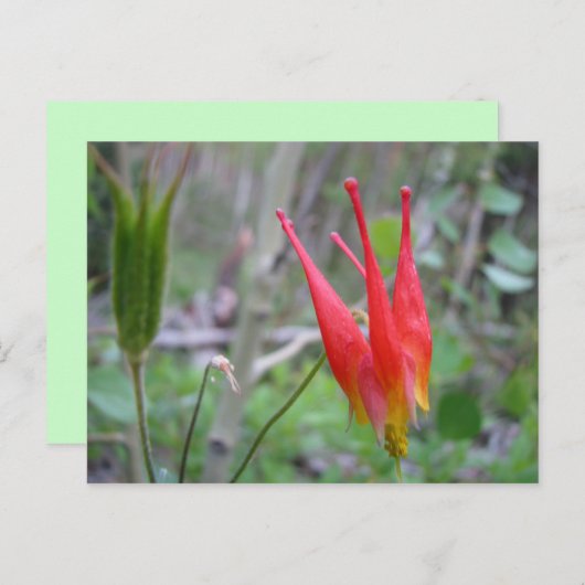 クラウン ポストカード (正面/裏面)