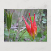 クラウン ポストカード (正面)