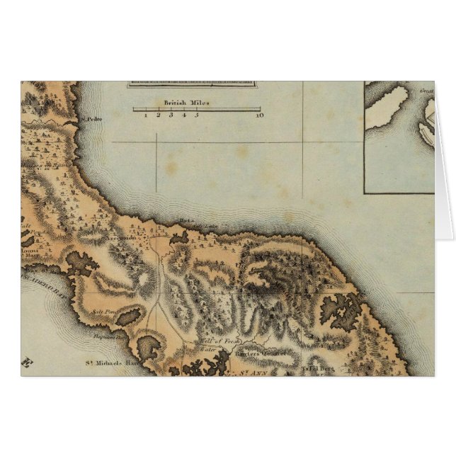 クラカオ (正面横)