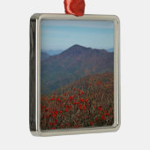 クラギドームマウンテンから表示 メタルオーナメント (右)