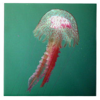 クラゲのくらげのタイル タイル