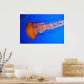 クラゲのポスター1 ポスター (キッチン)