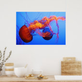 クラゲのポスター ポスター (キッチン)