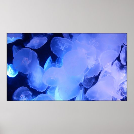 クラゲのポスター ポスター (正面)