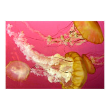 クラゲのポスター