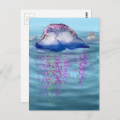 クラゲの一種 ポストカード (正面/裏面)