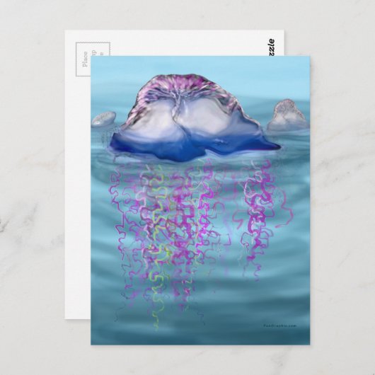 クラゲの一種 ポストカード (正面/裏面)