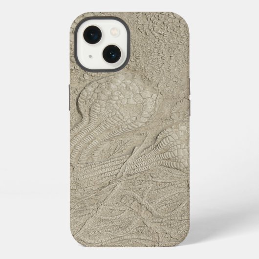 クラゲの化石コレクション iPhoneケース (裏面)