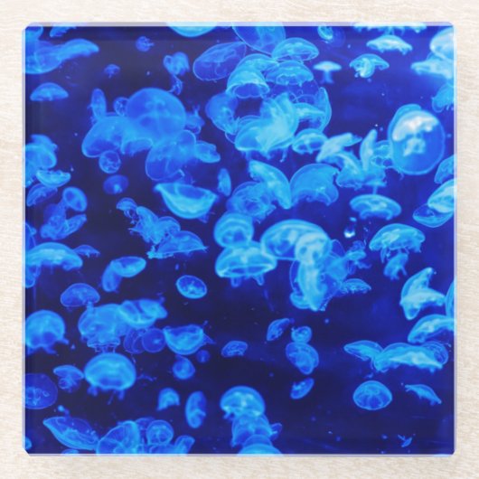 クラゲの実 ガラスコースター (正面)