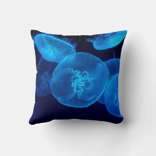 クラゲの群れの撮影をクローズアップする クッション (裏面)