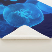 クラゲの群れの撮影をクローズアップする シェルパブランケット (3/4)