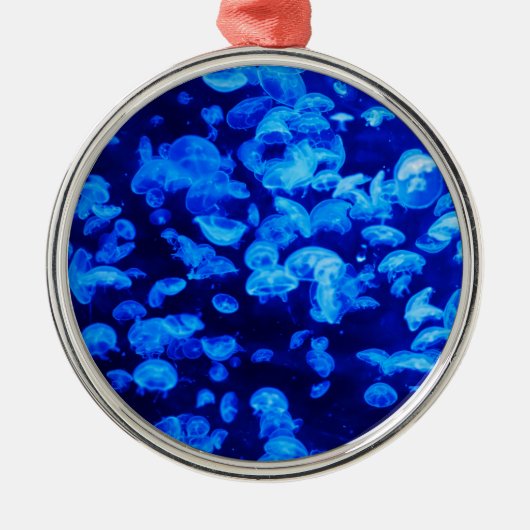 クラゲの群れ（水中動物） メタルオーナメント (正面)