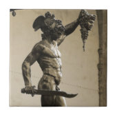 クラゲの頭部とのPerseus タイル (正面)