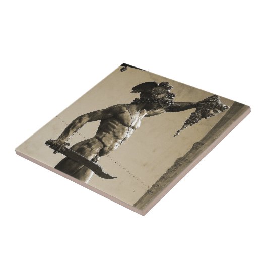 クラゲの頭部とのPerseus タイル (側面)