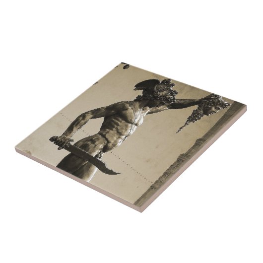 クラゲの頭部とのPerseus タイル (側面)