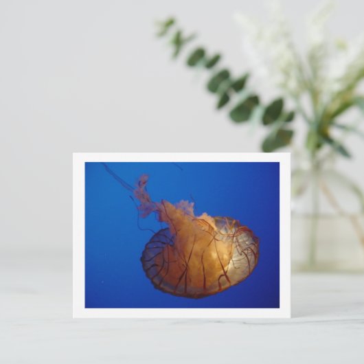 クラゲはがき ポストカード (スタンド正面)