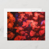 クラゲはがき ポストカード (正面/裏面)