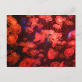 クラゲはがき ポストカード (正面)