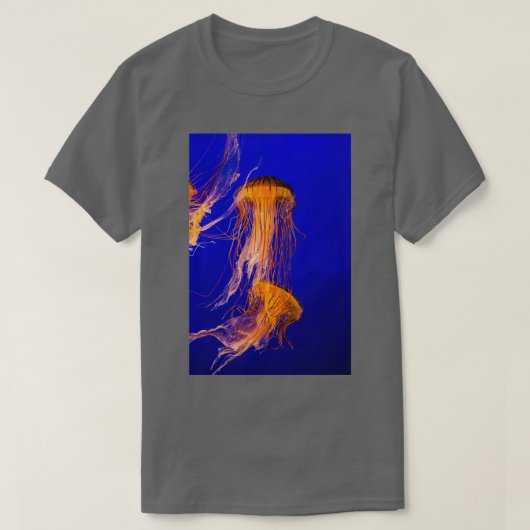 クラゲアットバンクーバー水族館 Tシャツ (デザイン正面)