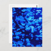 クラゲイン深いブルーシー ポストカード (正面/裏面)