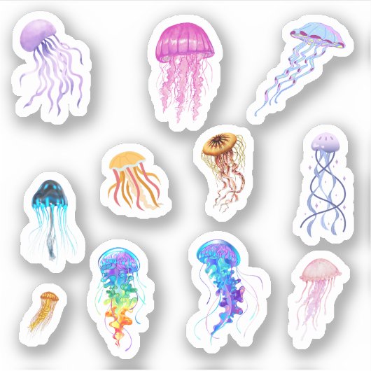 クラゲシール シール (正面)