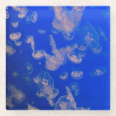 クラゲスイミングビーチデコールガラスコースター ガラスコースター (正面)