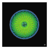 クラゲ傘 フォトプリント            (正面)